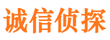 乾安市出轨取证